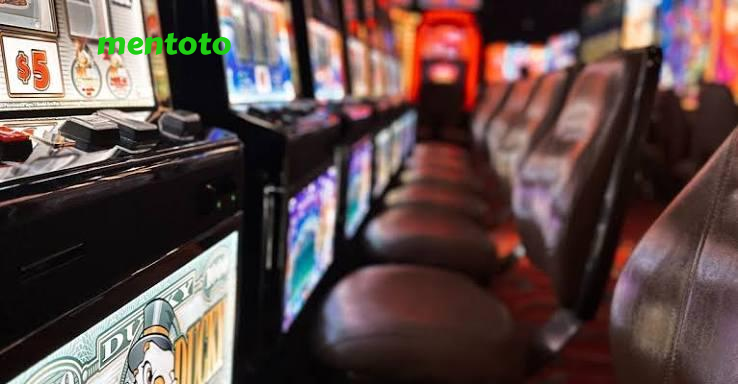 mentoto Live Game Shows at mentoto